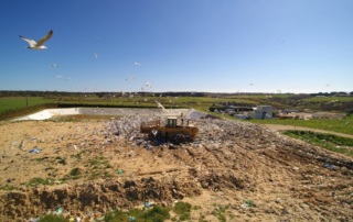 Goélands en vol et zone d’enfouissement de la déchèterie de Chubiguer à Belle-île-en-mer (56) – © Denis JEANT