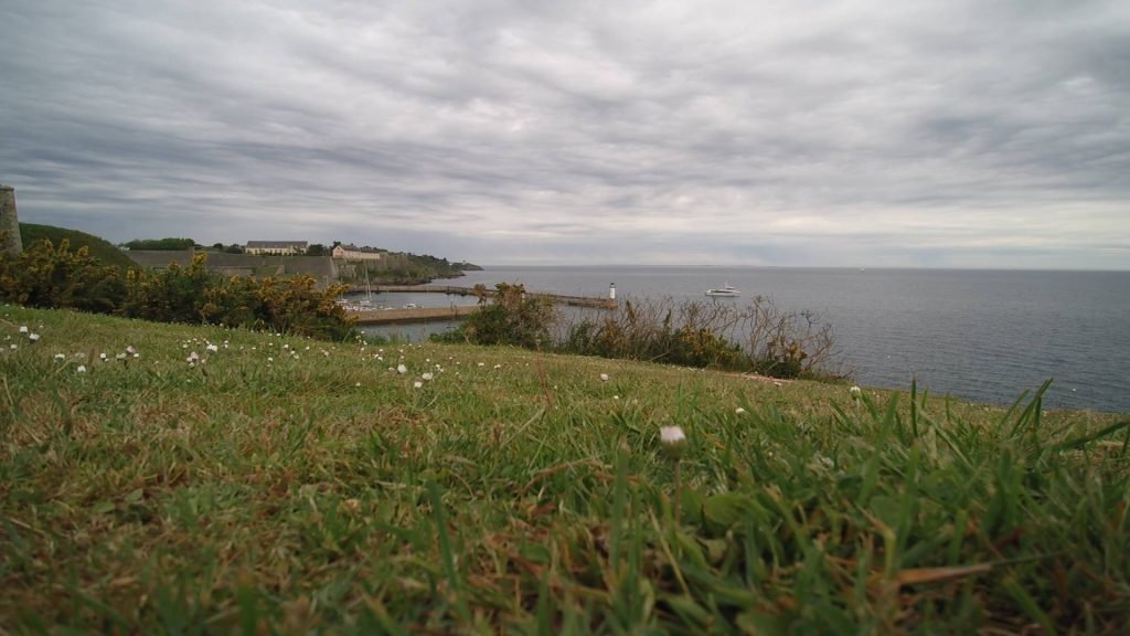 Ramonette à Belle-île-en-mer