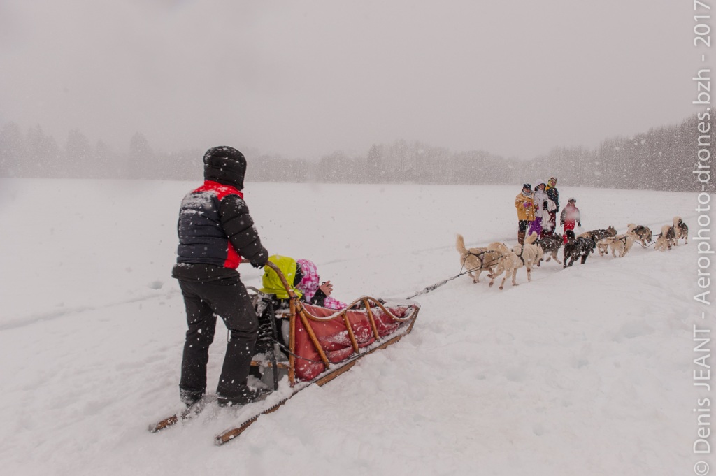 Neige qui tombe et traineaux à chiens