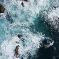 Les poulains vus du ciel - © Denis JEANT