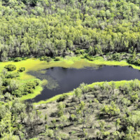 Zone marécageuse - © Denis JEANT