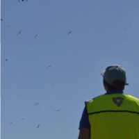 Denis JEANT, exploitant et télépilote de drone en pleine action – Photo Audrey LE GAL