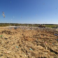 Goélands en vol et zone d’enfouissement de la déchèterie de Chubiguer à Belle-île-en-mer (56) – © Denis JEANT Goélands en vol et zone d’enfouissement de la déchèterie de Chubiguer à Belle-île-en-mer (56) – © Denis JEANT