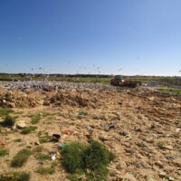 Goélands et zone d'enfouissement de la déchèterie de Chubiguer à Belle-île-en-mer (56) – © Denis JEANT