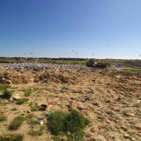 Goélands et zone d'enfouissement de la déchèterie de Chubiguer à Belle-île-en-mer (56) – © Denis JEANT